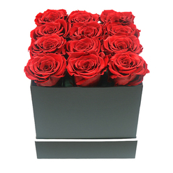 Why the Red Rose Symbolises Love